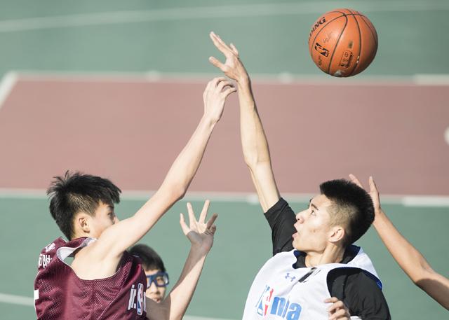 律师全系