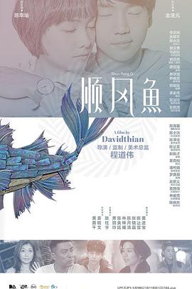 机机对机机视频