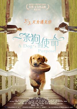 夕又米念什么字