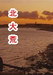 五月天伊人网