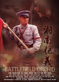 精品成人在线视频
