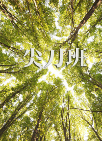 最近免费中文字幕mv