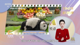 国产在线观看成人